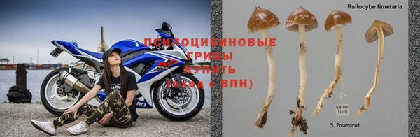 прущий лед Алзамай