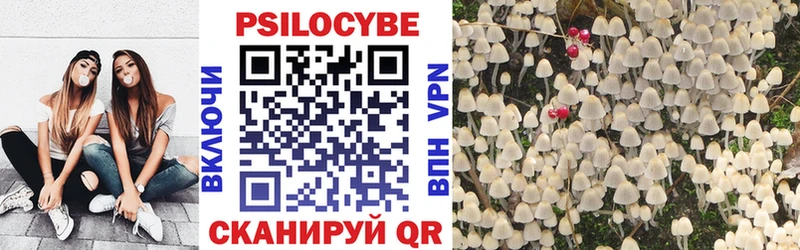 OMG онион  Котовск  Галлюциногенные грибы Psilocybine cubensis 